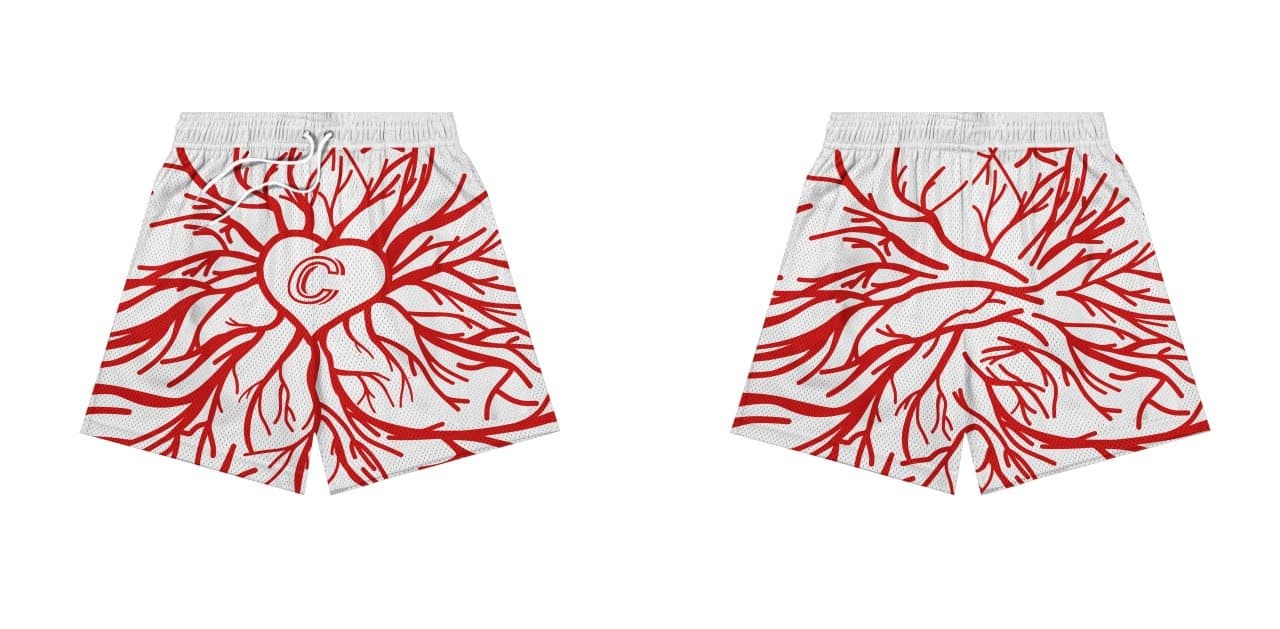 Mesh shorts portfolio image 25