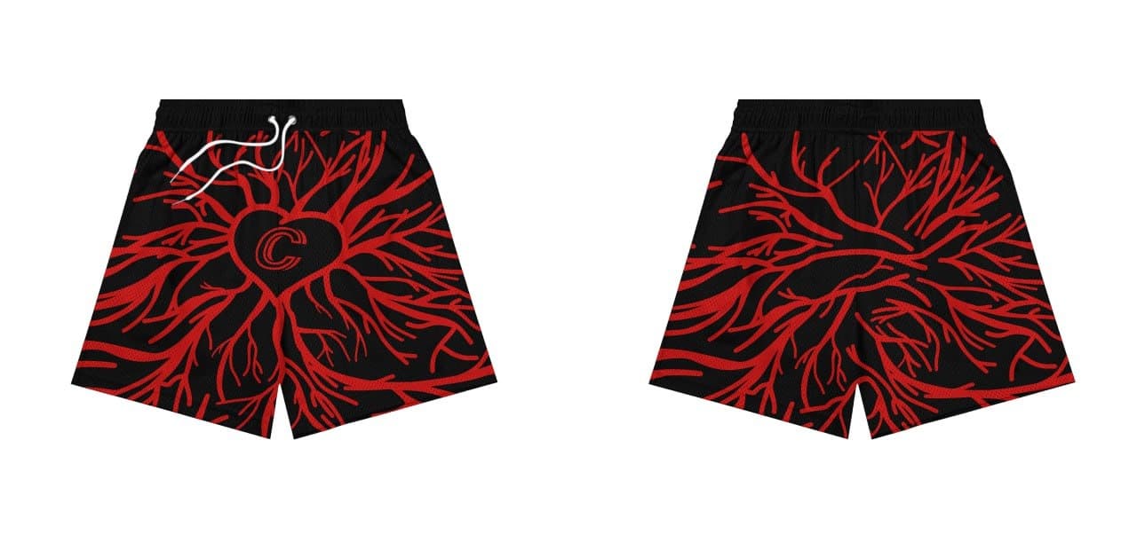 Mesh shorts portfolio image 27